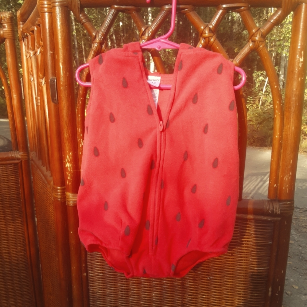 🍀3/15 Baby Watermalon costume bodysuit 🍉